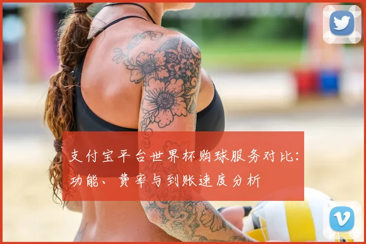 支付宝平台世界杯购球服务对比:功能、费率与到账速度分析