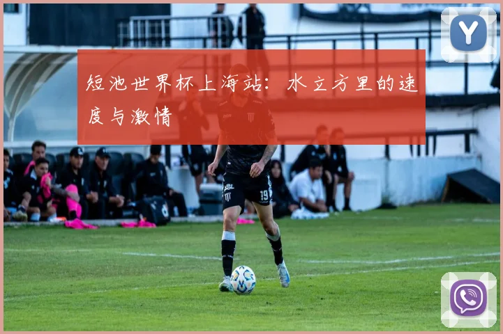 短池世界杯上海站:水立方里的速度与激情