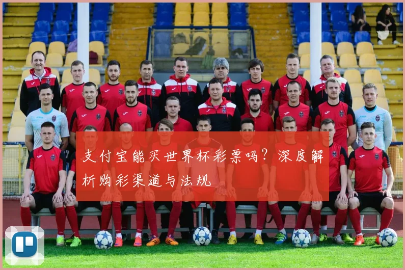 支付宝能买世界杯彩票吗?深度解析购彩渠道与法规