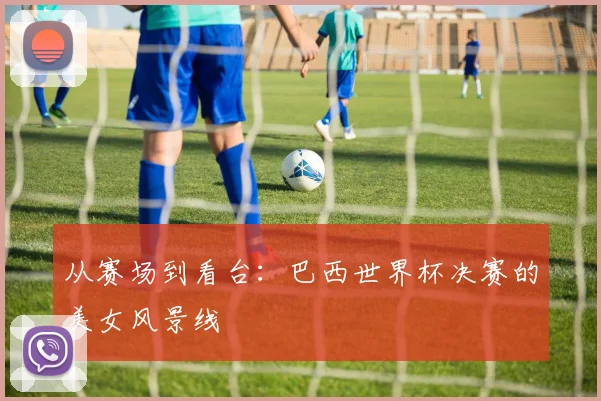 从赛场到看台：巴西世界杯决赛的美女风景线