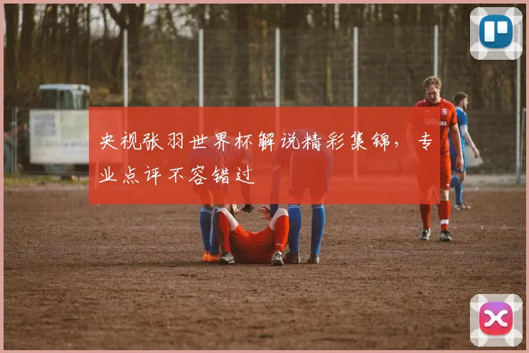 央视张羽世界杯解说精彩集锦,专业点评不容错过