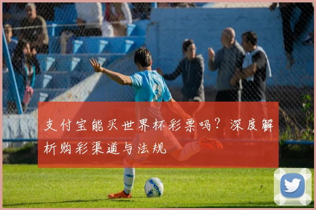 支付宝能买世界杯彩票吗？深度解析购彩渠道与法规