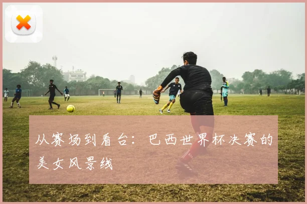 从赛场到看台：巴西世界杯决赛的美女风景线