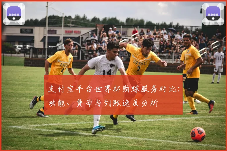 支付宝平台世界杯购球服务对比:功能、费率与到账速度分析