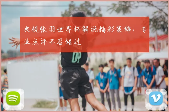 央视张羽世界杯解说精彩集锦,专业点评不容错过
